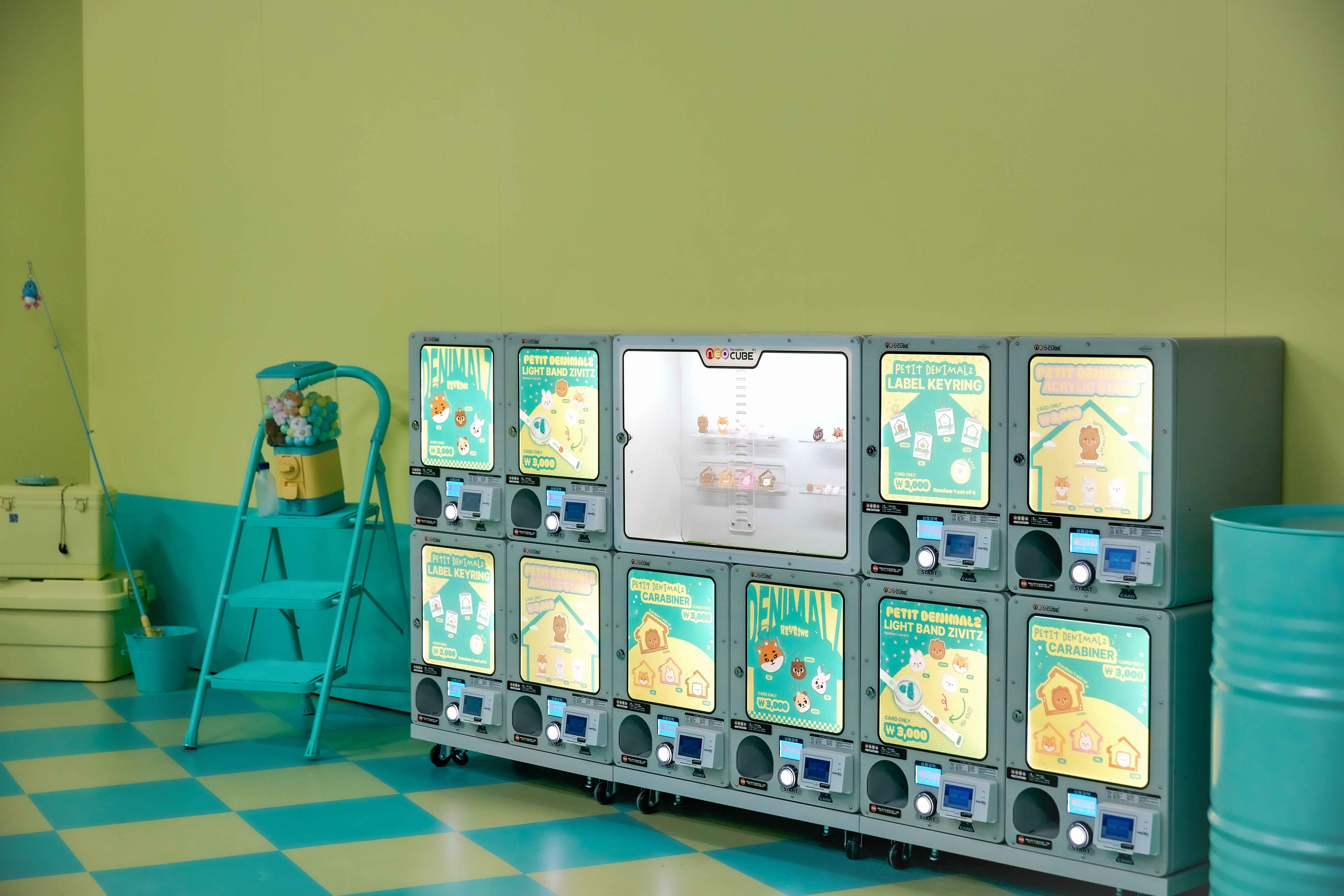 day6-zip-the-home-of-our-decade-2 image 4