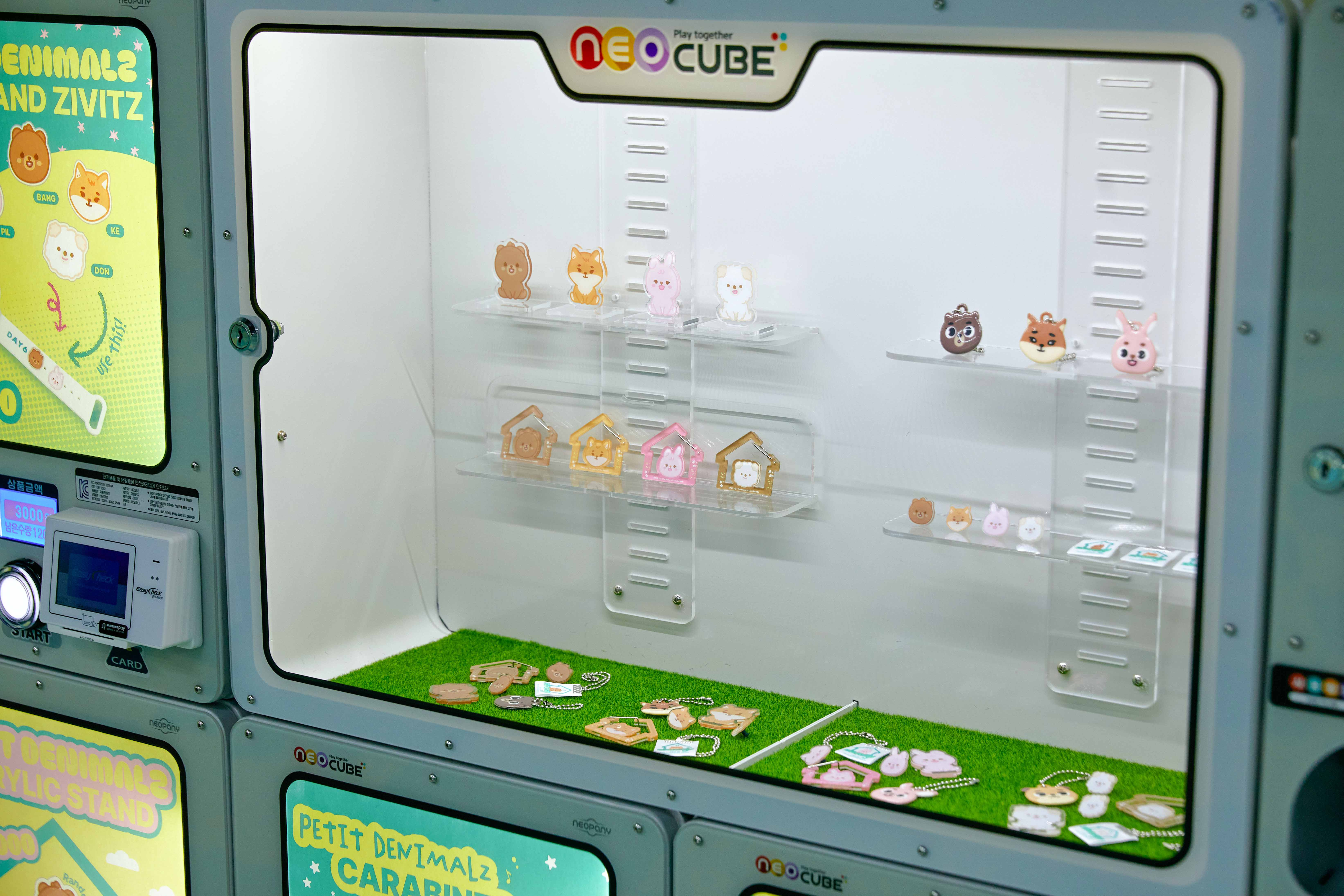 day6-zip-the-home-of-our-decade-2 image 9