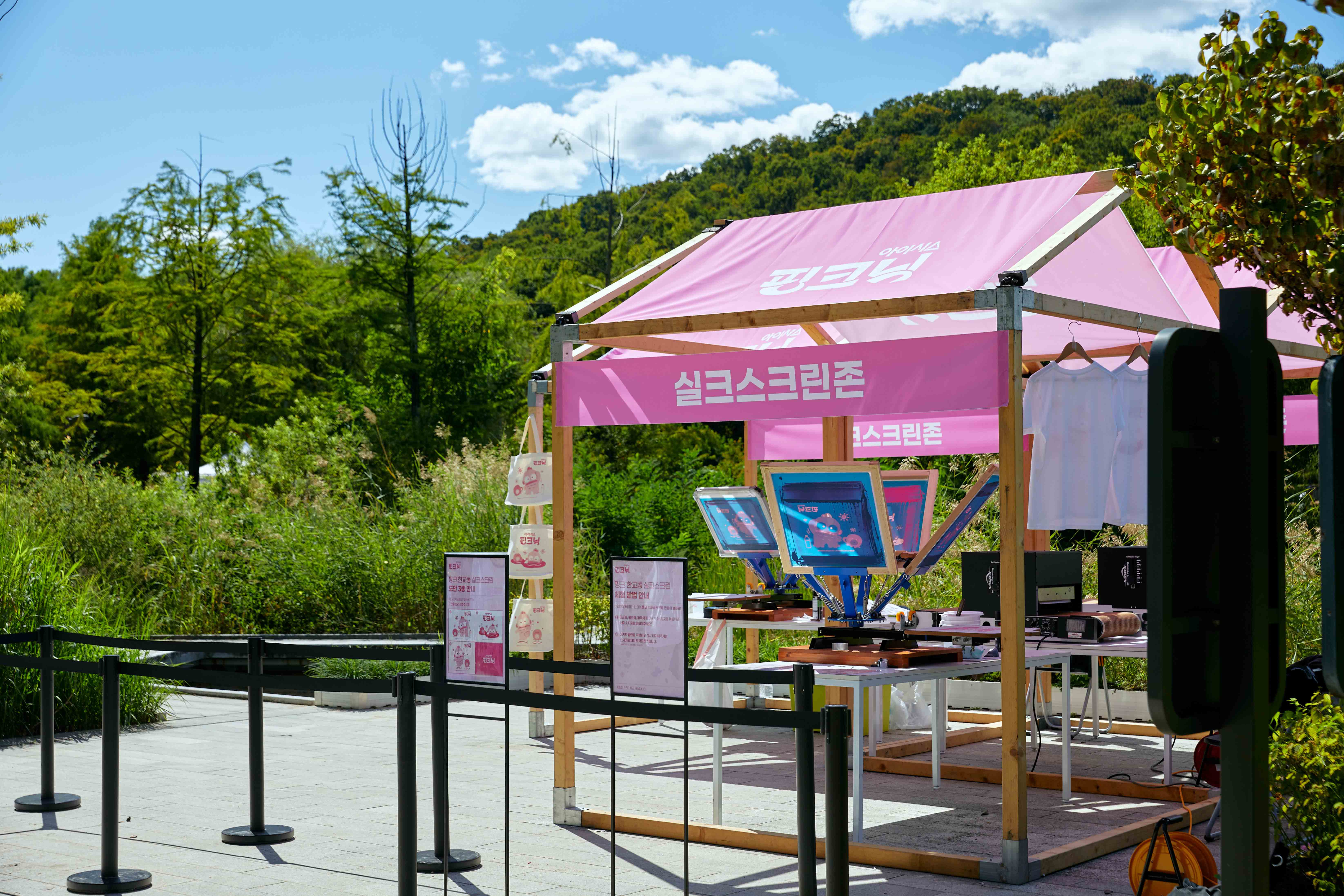 ICIS-PINKNIC-1 image 6