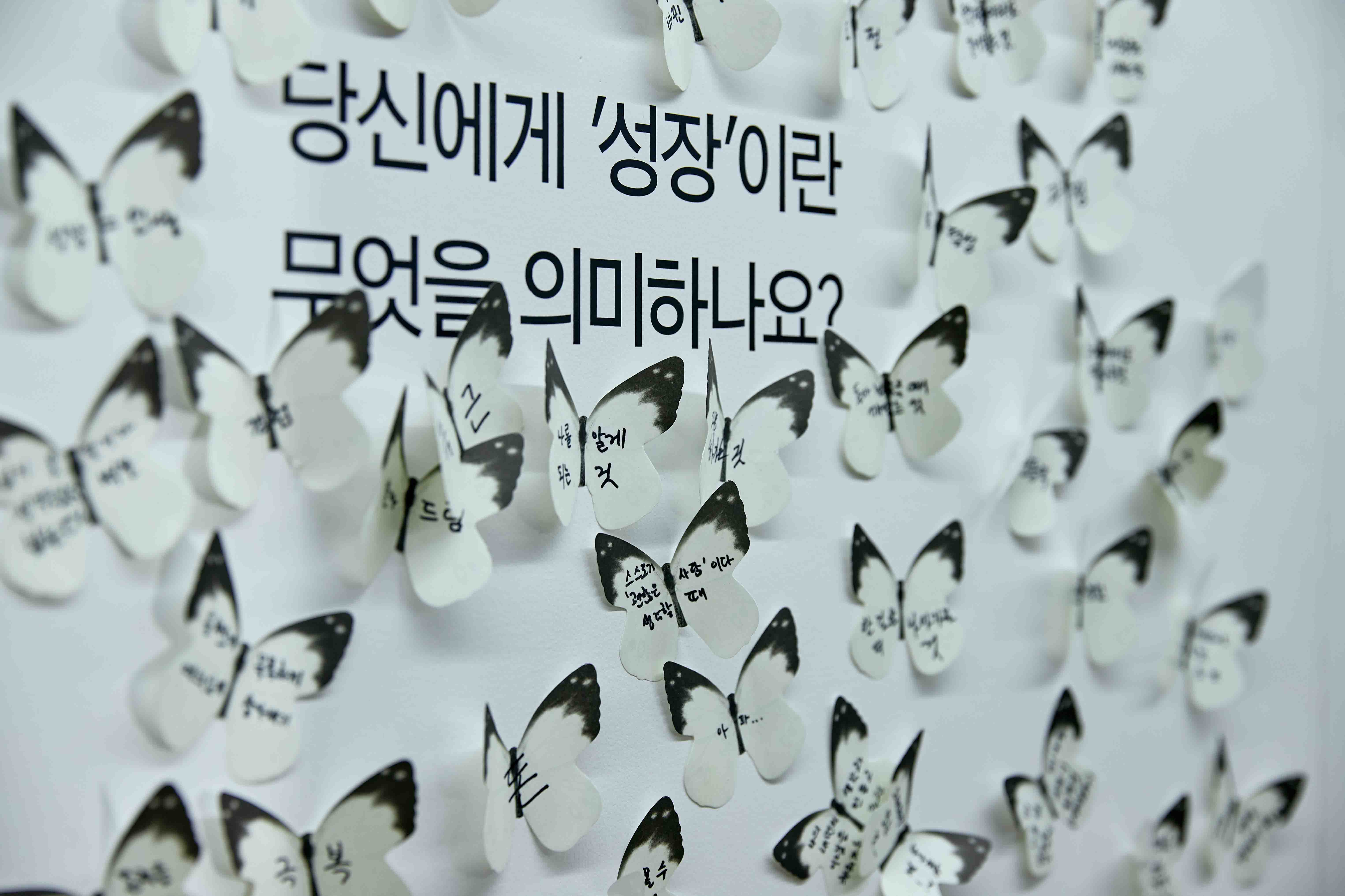 HEO-MUL-HEO-MUL-1 image 6