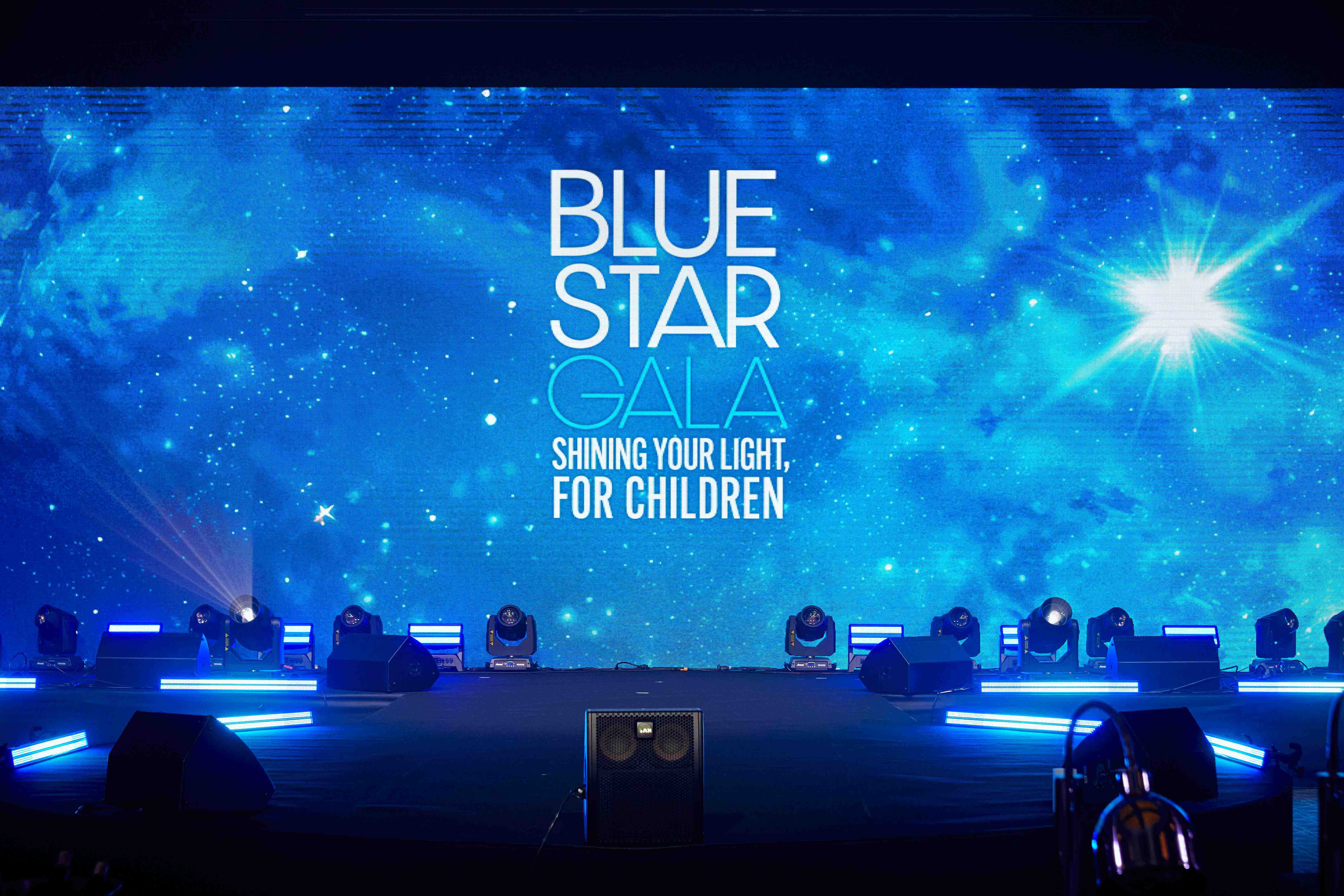 UNICEF-BLUE-STAR-GALA-1 image 4